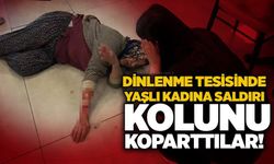Dinlenme tesisinde yaşlı kadına saldırı: Kolunu koparttılar!