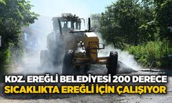 KDZ. Ereğli Belediyesi 200 derece sıcaklıkta Ereğli için çalışıyor
