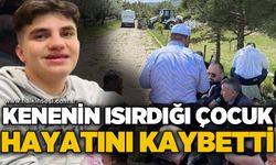 Kenenin ısırdığı çocuk hayatını kaybetti!