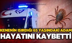 Kenenin ısırdığı 65 yaşındaki adam hastaneye hayatını kaybetti