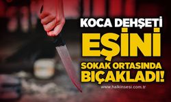 Koca dehşeti: Eşini sokak ortasında bıçakladı!