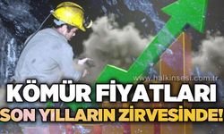 Kömür fiyatları son yılların zirvesinde!