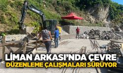 Liman Arkası’nda çevre düzenleme çalışmaları sürüyor