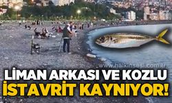 Liman Arkası ve Kozlu istavrit kaynıyor!