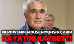 Arı kovanlarını tamir ederken düştü, hastanede yaşamını yitirdi!