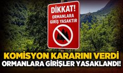 Komisyon kararı aldı: Ormanlara giriş yasaklandı!