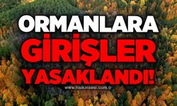 Ormanlara girişler yasaklandı!