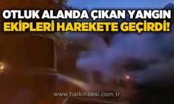 Otluk alan yangını ekipleri harekete geçirdi