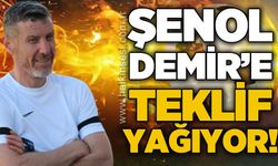Şenol Demir'e teklif yağıyor!