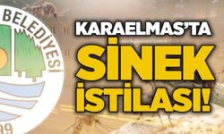 Karaelmas’ta sinek istilası!