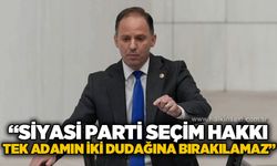 Deniz Yavuzyılmaz: “Siyasi partilerin seçim hakkı tek adamın iki dudağına bırakılamaz"