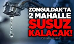 Zonguldak'ta 2 mahalle susuz kalacak!