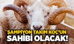 Şampiyon takım KOÇ’un sahibi olacak!