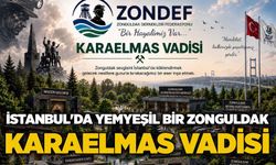 İstanbul'da yemyeşil bir Zonguldak: Karaelmas Vadisi