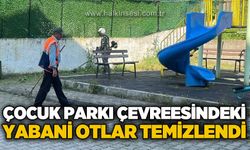 Çocuk parkının çevresindeki yabani otlar temizlendi