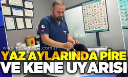 Yaz aylarında pire ve kene uyarısı