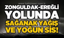 Kdz. Ereğli -Zonguldak yolunda sağanak yağış ve yoğun sis!