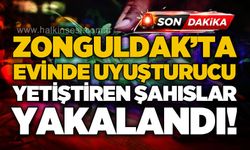 Zonguldak'ta evinde uy*şturucu yetiştiren şahıslar yakalandı!