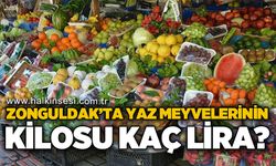 Zonguldak'ta yaz meyvelerinin kilosu kaç lira?
