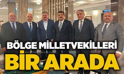 Bölge milletvekilleri bir arada