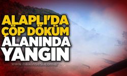 Alaplı'da çöp döküm alanında yangın