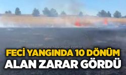 Feci yangında 10 dönüm alan zarar gördü