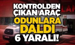 Kontrolden çıkan araç odunlara daldı: 6 yaralı!