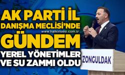 AK Parti İl Danışma Meclisi'nde gündem yerel yönetimler ve su zammı oldu