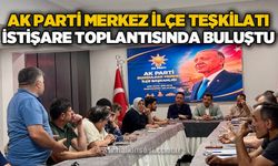 AK Parti Merkez İlçe Teşkilatı istişare toplantısında buluştu