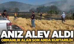 Anız alev aldı: Ormanlık alan son anda kurtarıldı