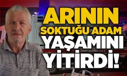 Arının soktuğu adam yaşamını yitirdi!