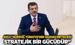 Avcı: “Kömür, Türkiye’nin vazgeçmeyeceği stratejik bir gücüdür”