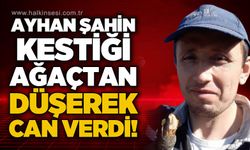 Ağaç keserken dengesini kaybeden kişi hayatını kaybetti