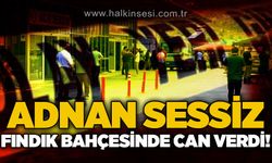 Adnan Sessiz fındık bahçesinde can verdi!