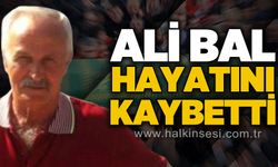 Ali Bal hayatını kaybetti
