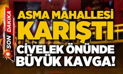 Asma'da ortalık karıştı: Civelek önünde büyük kavga!