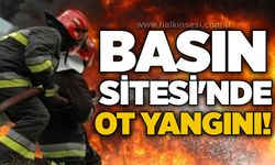 Basın Sitesi'nde ot yangını!