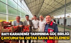Batı Karadeniz tarımında güç birliği: Çaycuma'da ortak saha incelemesi
