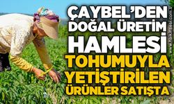 ÇAYBEL'den doğal üretim hamlesi: Ata tohumuyla yetiştirilen ürünler satışa sunuldu