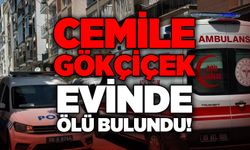 76 yaşındaki Cemile Gökçiçek evinde ölü bulundu
