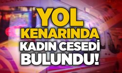 Yol kenarında kadın c*sedi bulundu!