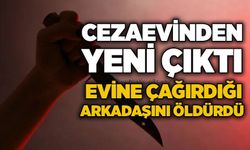 Cezaevinden yeni çıktı, evine çağırdığı arkadaşını öldürdü