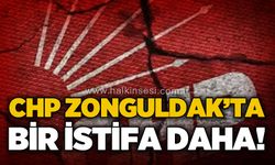 CHP Zonguldak'ta bir istifa daha!