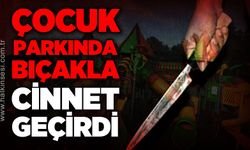 Çocuk parkında bıçakla cinnet geçirdi!
