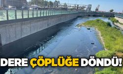 Dere çöplüğe döndü