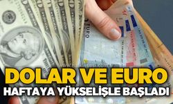Dolar ve euro haftaya yükselişle başladı