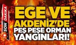 Ege ve Akdeniz'de peş peşe orman yangınları!