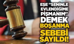 Eşe "seninle evlendiğime pişmanım" demek boşanma sebebi sayıldı!