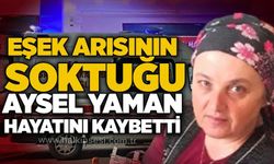 Eşek arısının soktuğu Aysel Yaman hayatını kaybetti
