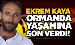 Ekrem Kaya ormanda yaşamına son verdi!